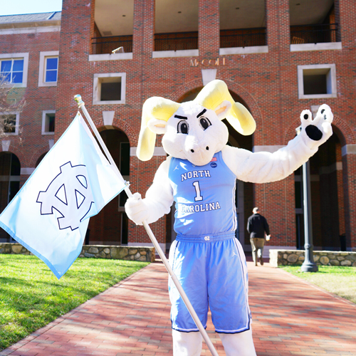 Mascot-Flag