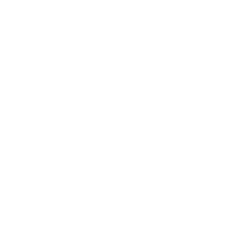 UNC Executive Development Logo